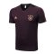 (Pre-Match) 2023 Germany Brown Soccer Training Jersey Mens
