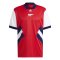 23/24 Arsenal Icon Red Soccer Jersey Mens