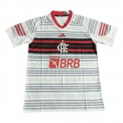 (Special Edition) 23/24 Flamengo Grey Soccer Jersey Mens